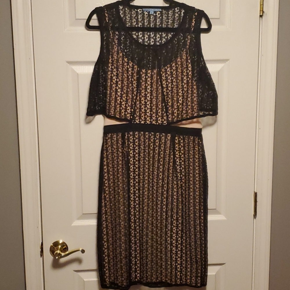 Antonio Melani Lace and Jersey Dress